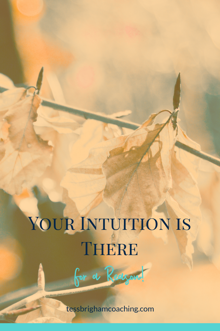 Your Intuition Is There For A Reason!